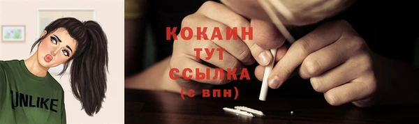 крисы Киренск