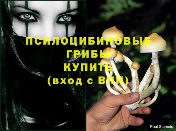 СК Кинешма