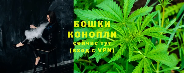 крисы Киренск