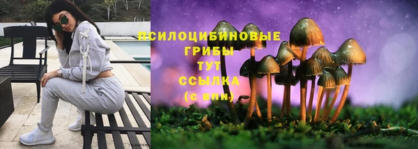 гидра Козловка