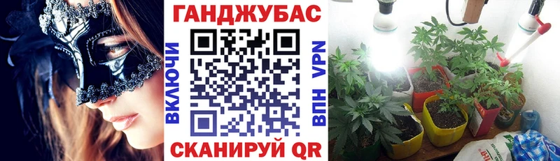 Купить закладки  Нижнекамск  Бошки Шишки ГИДРОПОН 